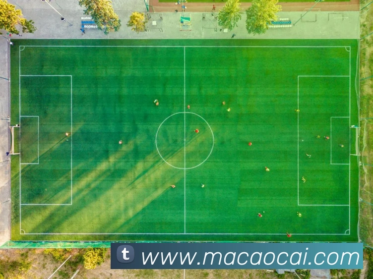 澳门彩平台生态图