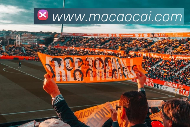 澳门彩APP 封面图